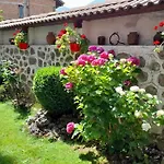 Hotel Bizev Bansko