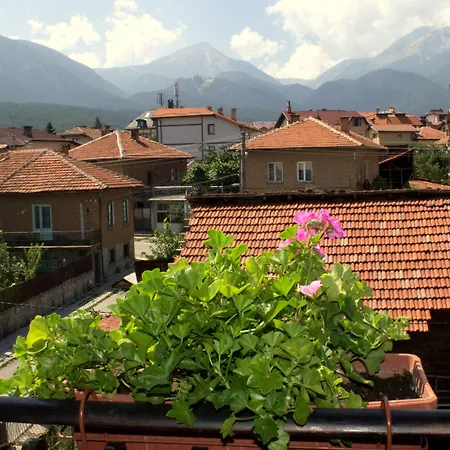 Hotel Bizev 3*
