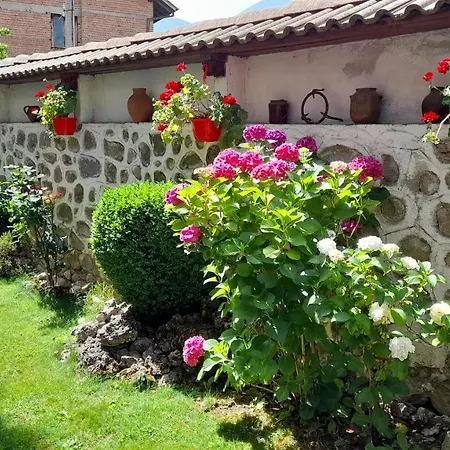 Szálloda Bizev Banszko