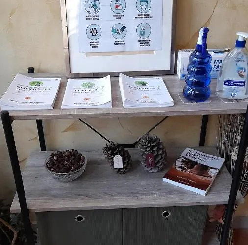 מלון Bizev בנסקו